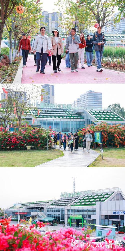 广网球员走进南沙明珠农业公园 打卡都市农业实验园